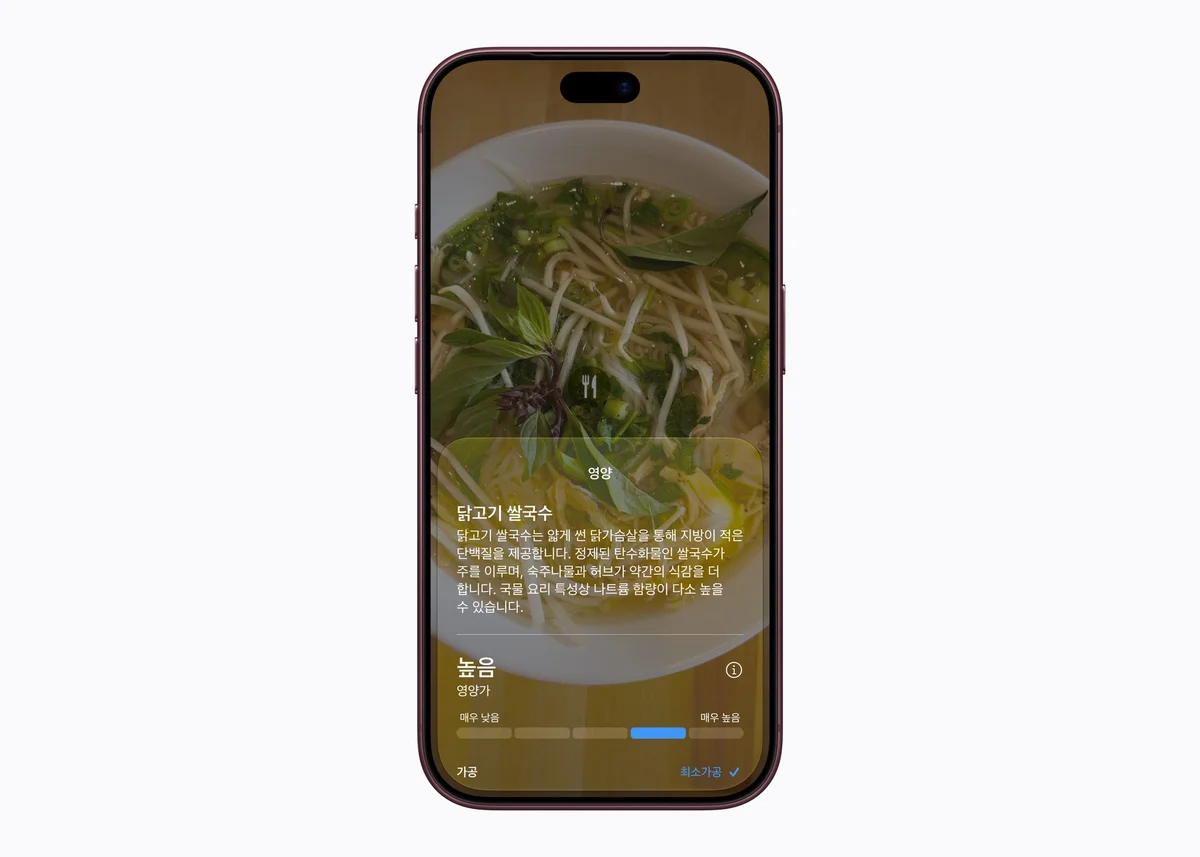 시리 AI 한국어 출시 – iOS 27.2 업데이트, 되는 아이폰 기종, 켜는 법과 사용 제한 총정리 3 카메라 Siri 모드로 음식 정보를 확인하는 화면